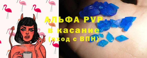 крисы Алзамай
