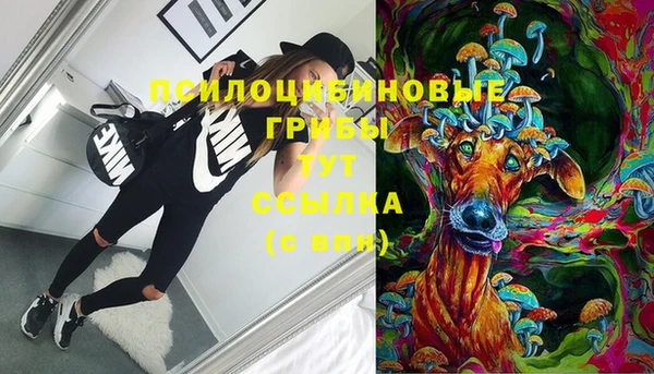 марки lsd Новозыбков